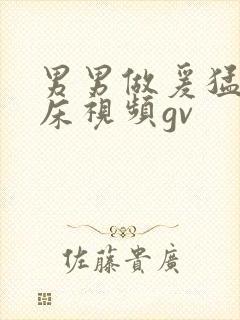 男男做爰猛烈叫床视频gv