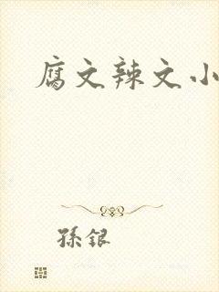 腐文辣文小说封面