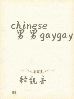 chinese 男男gaygay 网站