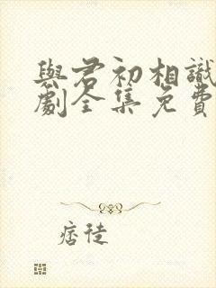 与君初相识电视剧全集免费播放