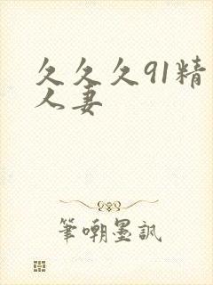 久久久91精品人妻