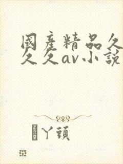 国产精品久久久久久av小说封面