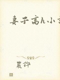 妻子高h小说封面