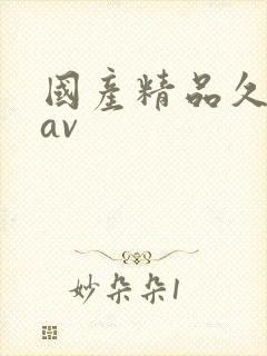 国产精品久久久av