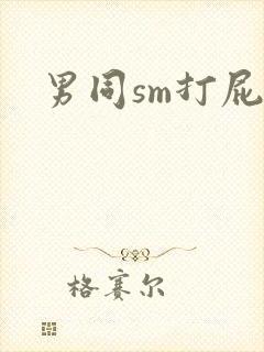 男同sm打屁股