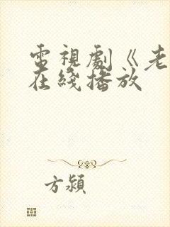 电视剧《老舅》在线播放