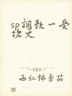 sp调教一受多攻文