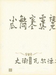 小敏家电视剧西瓜网全集免费
