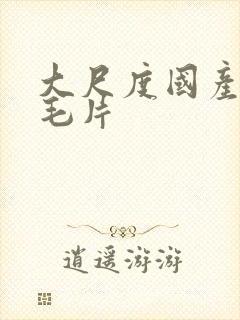 大尺度国产精品毛片