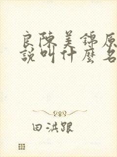 良陈美锦原著小说叫什么名字