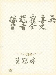 总裁宠妻无度免费看全文
