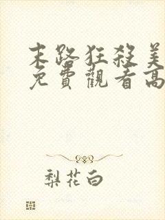 末路狂杀美国版免费观看高清