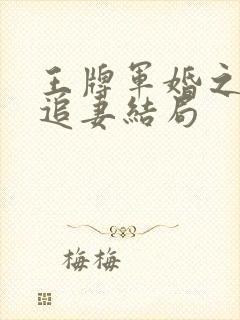 王牌军婚之特战追妻结局封面