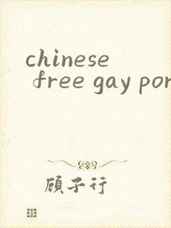 chinese free gay porn
