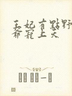 王妃有点野,王爷宠上天封面