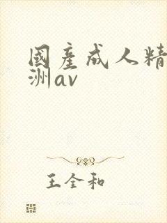 国产成人精品亚洲av