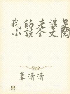 我的老婆是苏玥小说全文阅读封面