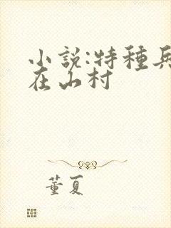 小说:特种兵王在山村封面