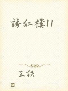 诱红楼11