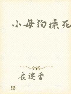 小母狗操死你
