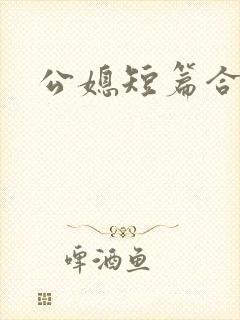 公媳短篇合集封面