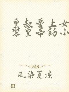 皇叔爱上女扮男装皇帝的小说