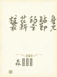 校花的贴身高手最新章节免封面