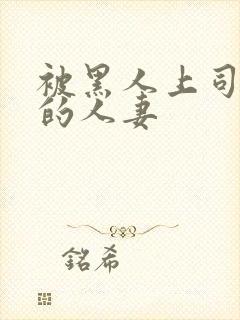 被黑人上司中出的人妻封面