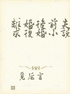 离婚后前夫哭着求复婚小说免费讲述