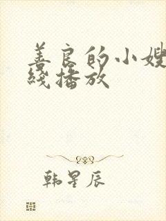 善良的小嫂子在线播放封面