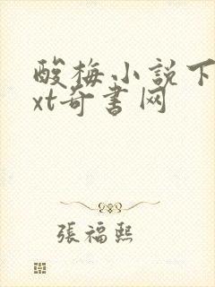 酸梅小说下载txt奇书网
