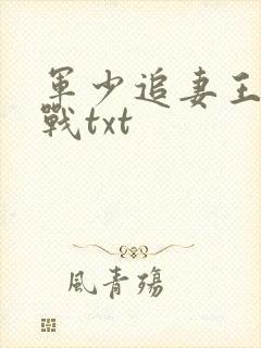 军少追妻王牌特战txt封面