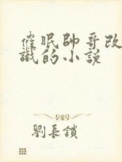 催眠帅哥改变常识的小说封面