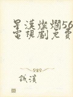 星汉灿烂56集电视剧免费下载