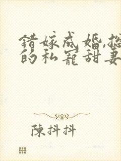 错嫁成婚,总裁的私宠甜妻封面