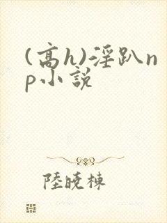 (高h)淫趴np小说封面