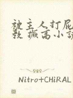 被主人打屁股调教 撅高小说