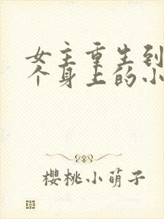女主重生到另一个身上的小说