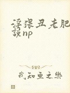 淫猥丑老肥攻小说np