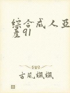 综合成人亚洲国产91