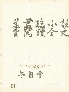 叶君临小说(免费阅读全文)