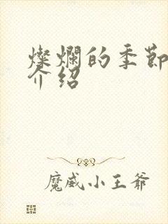 灿烂的季节剧情介绍