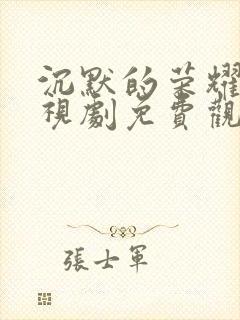 沉默的荣耀 电视剧免费观
