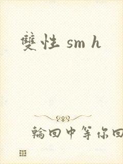 双性 sm h