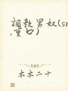 调教男奴(sm,重口)封面