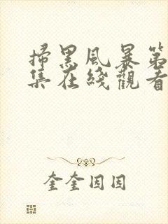 扫黑风暴第19集在线观看免费完整版