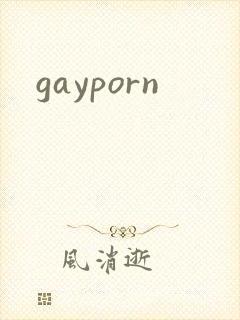 gayporn封面
