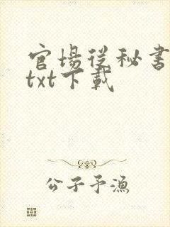 官场从秘书开始txt下载封面