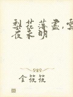 梨花落尽,云散夜未明