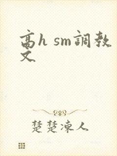 高h sm调教文